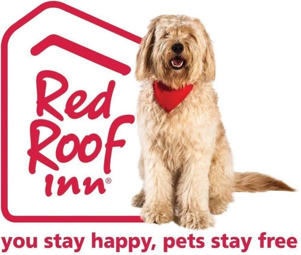 Red Roof Inn Phoenix North - I-17 At Bell Rd Luaran gambar